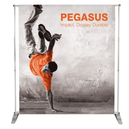banner pegasus